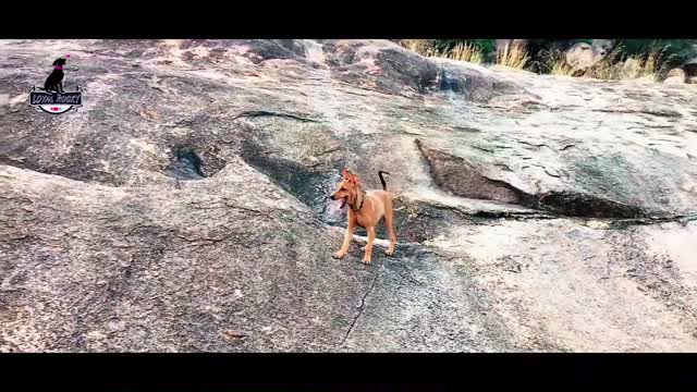 A trip to the mountains