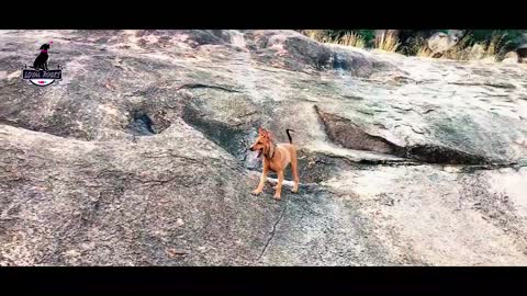 A trip to the mountains