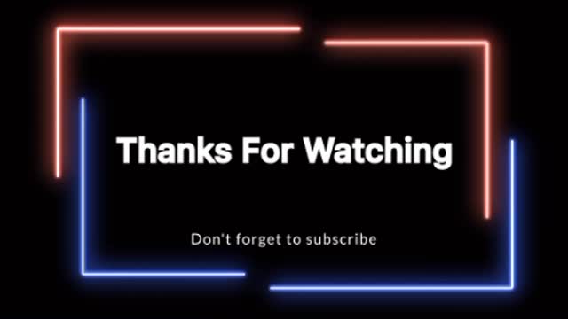 Best funny animal videos of the year