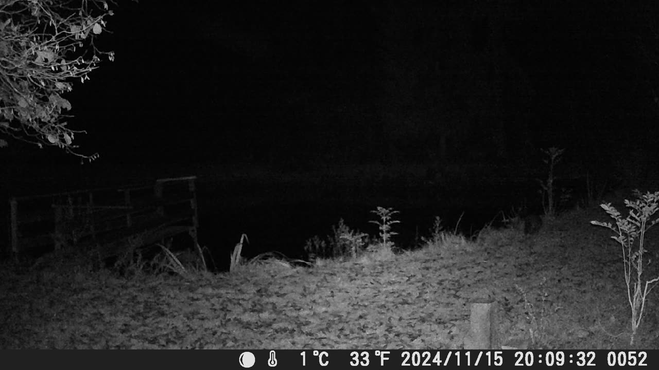 Teich 151124