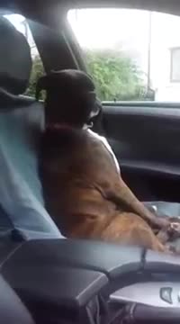 When he's still mad you took him to the vet