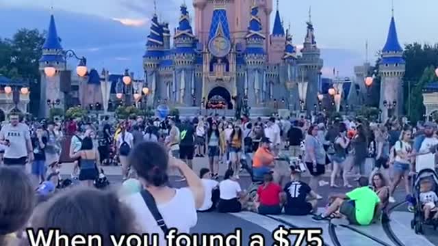 When you found a $75 round trip flight to Orlando and are headed to Disney