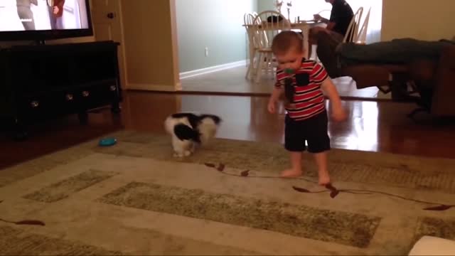 Cute baby dancing cute dog