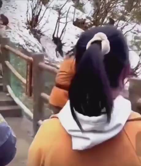 Dude Stood His Ground! #funny_clips #shorts