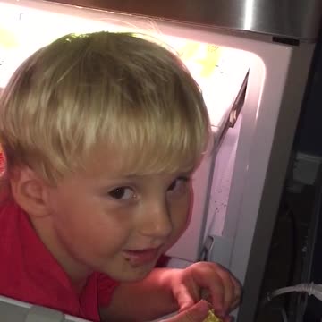 Boy Spends Warm Summer Day Relaxing In Freezer And Eating Moms Candy
