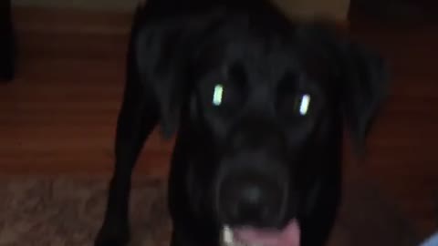 Maya says hi