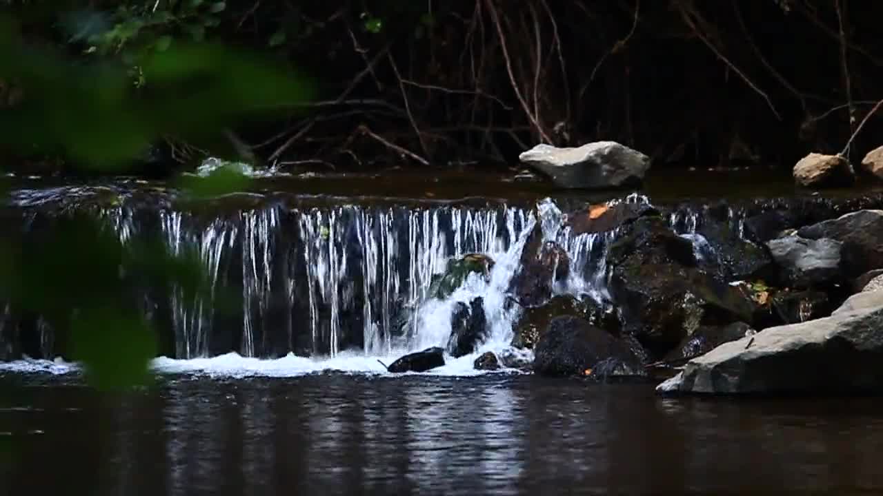 Beautiful Piano Music.. • Relax, Study, Sleep