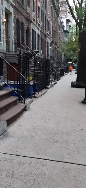 278 - ANOTHER AMC CAT GONE MISSING (Backup)