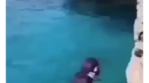 such a dream