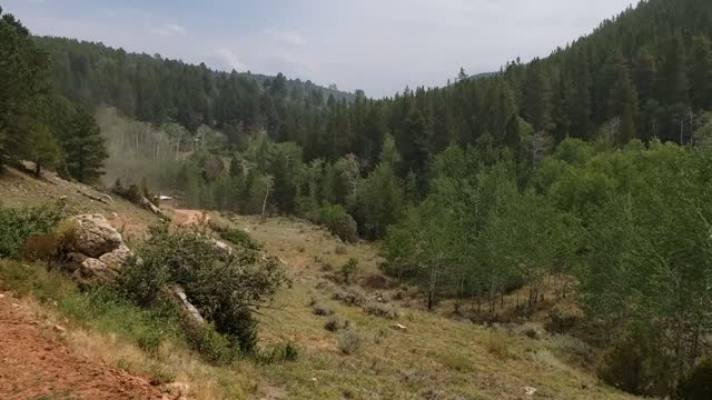 Hauling Cows Up The Mountain 8