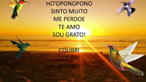 Ho'oponopono | Sinto Muito, Me Perdoe, Te Amo, Sou Grato!