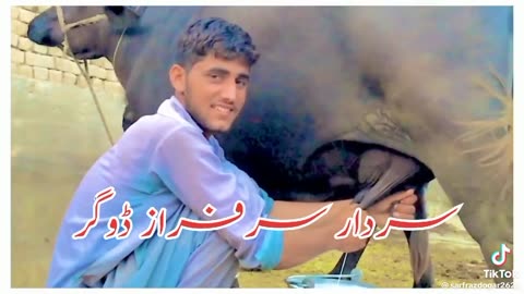 Funny poetry urdu punjabi