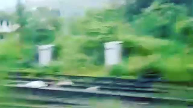Train time