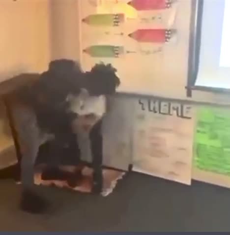 Timberview High School, Arlington, Public School Violence