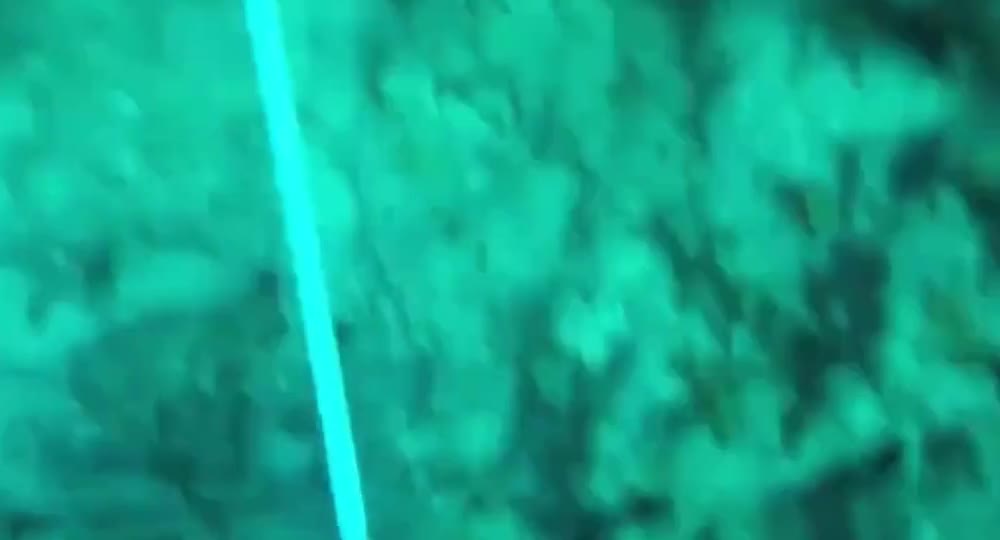 Find the bottom reef coral area to catch lobster