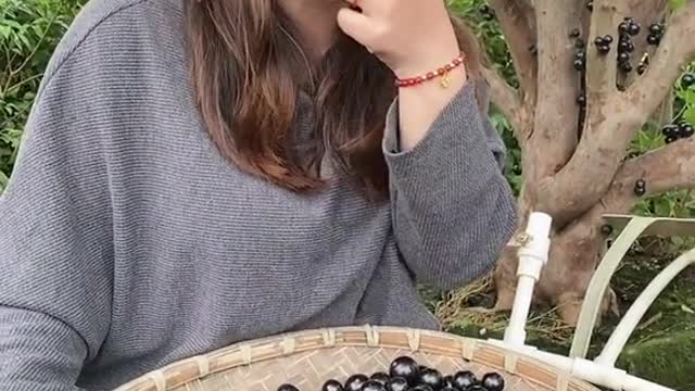 Nature Fruits Short Video