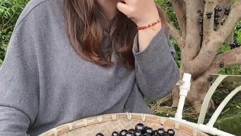 Nature Fruits Short Video