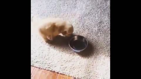 cute baby