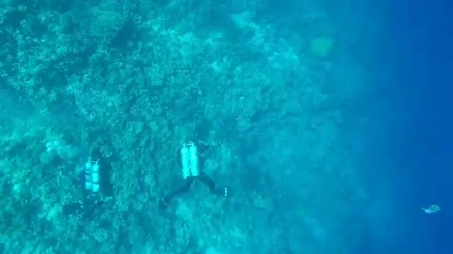 Free Diving inside the Blue Hole