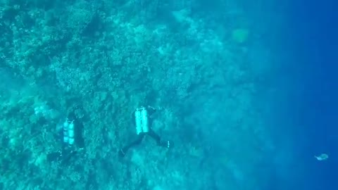 Free Diving inside the Blue Hole