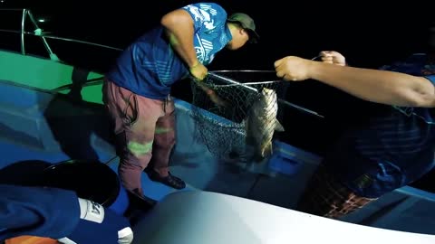 Lively angleRs in Malaysia