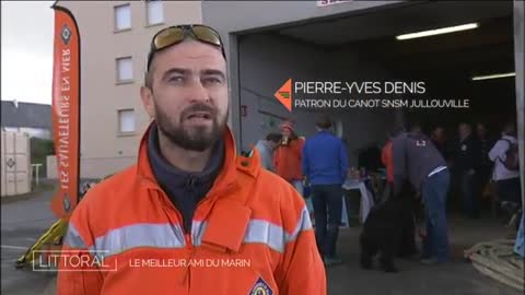 Le Terre-neuve, le meilleur ami du marin