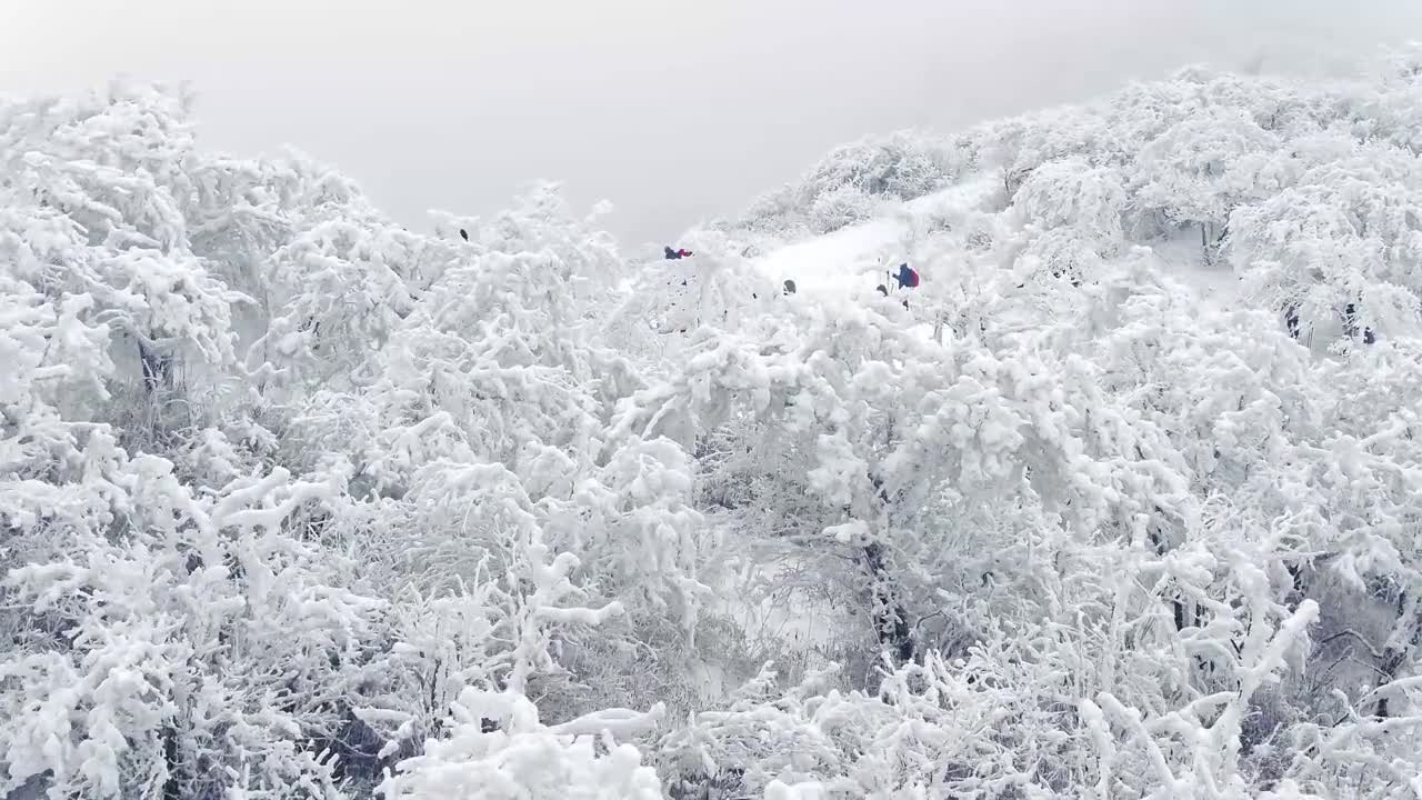 Qinling mountains snow