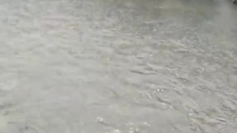 Flood in uttarakhand