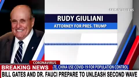 Covid-19 War Criminals