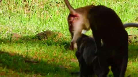 OMG Jane Feel So Good