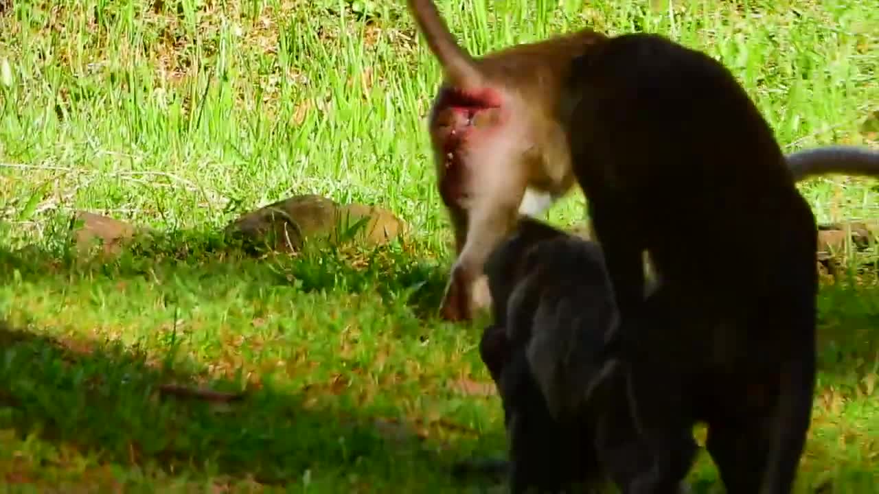 OMG Jane Feel So Good