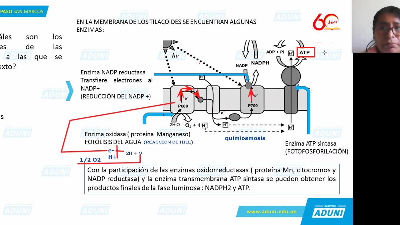 REPASO ADUNI 2021 | Semana 02 | Biología