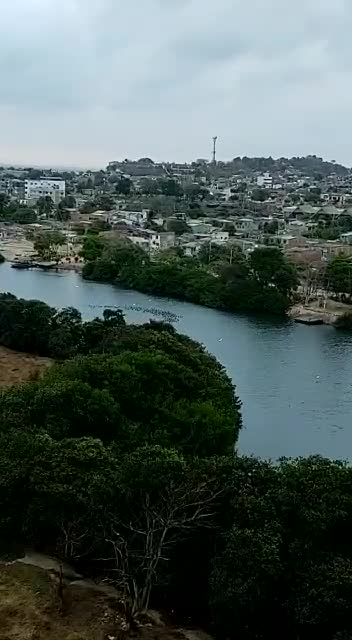 Patos en el caño Juan Angola