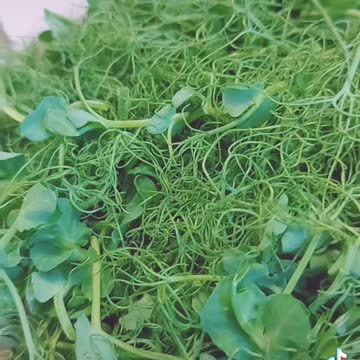 Delivery Preparation