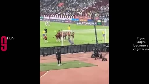 Try not to LAUGH 😂