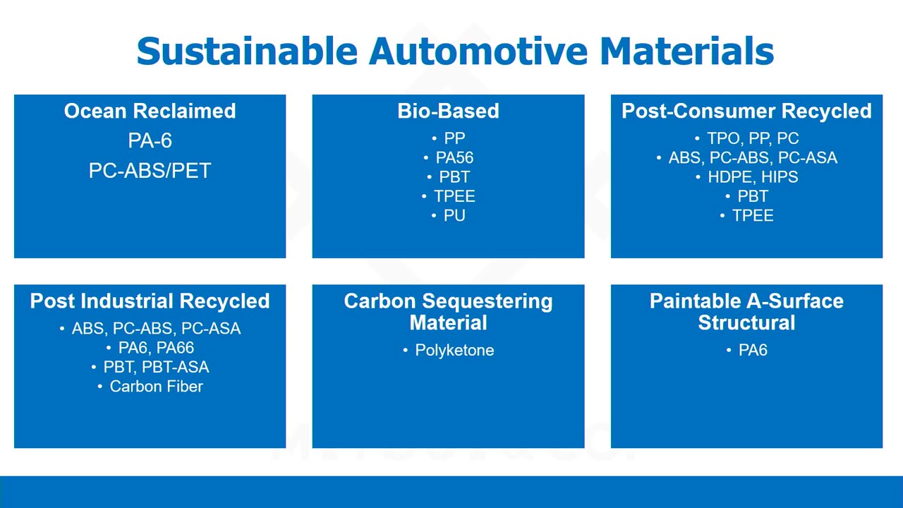 autotpo23-Megan-Krampe