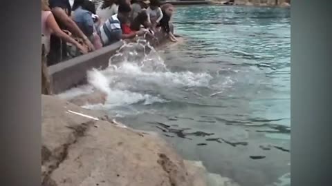 Funny Kids at the Aquarium -