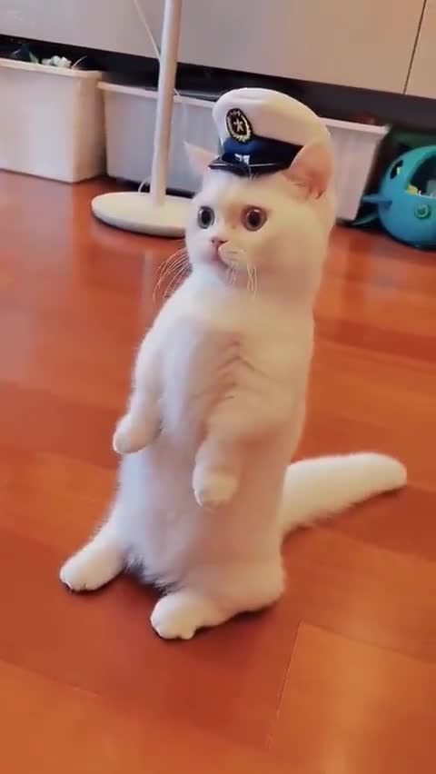 Cute captain 😎😎😎