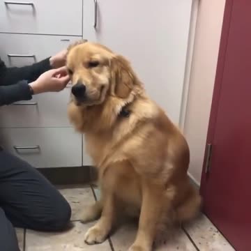 That's the spot go on