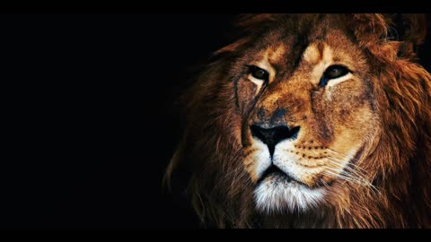Religio-Political Beast System