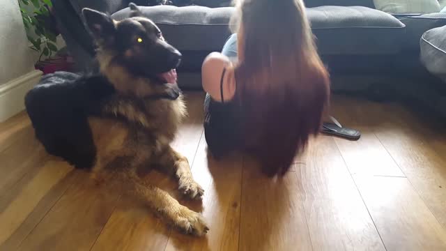 Perro demandante no deja que su dueña haga ejercicio