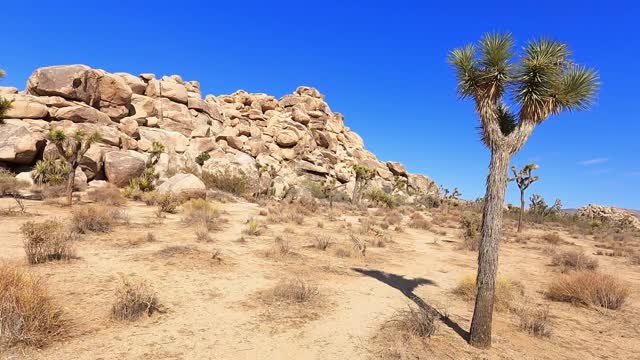 Hyper Lapse of Joshua Tree National Park