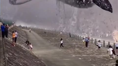 funny #funny video#Must watch new funny comedy videos 2022 best amazing funny comedy