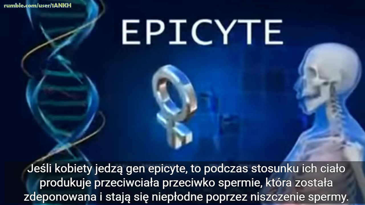 Epicyte - antykoncepcyjna kukurydza GMO