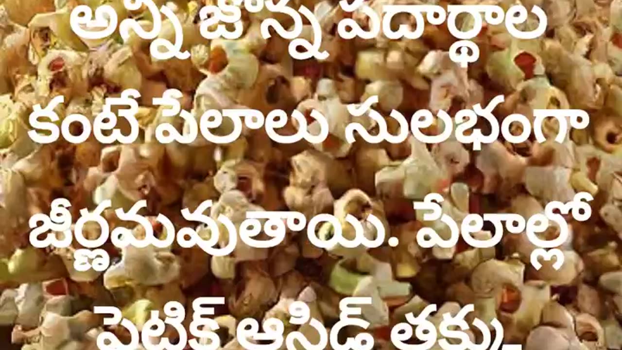 జొన్నపేలాల తయారీ ఆరోగ్యప్రయోజనాలు | Health benefits of Sorghum #halfacrecultivation