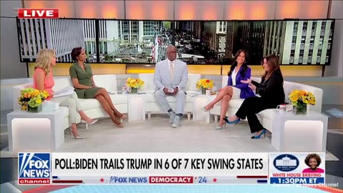Liberal Fox News Guest Freaks Out On Host: 'Don't Appreciate You Calling Me Dumb'