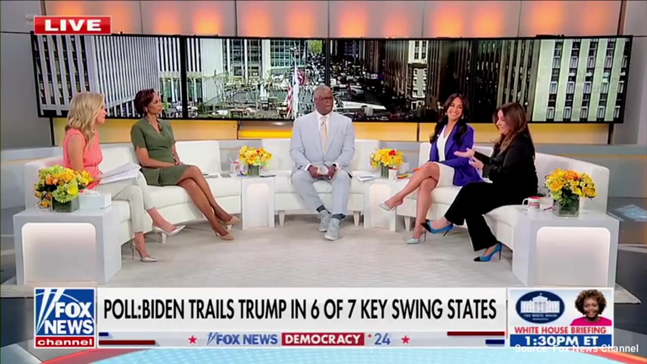 Liberal Fox News Guest Freaks Out On Host: 'Don't Appreciate You Calling Me Dumb'
