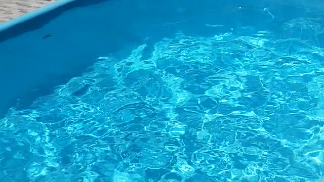 Pool piscina limpa com peroxido de hidrogenio