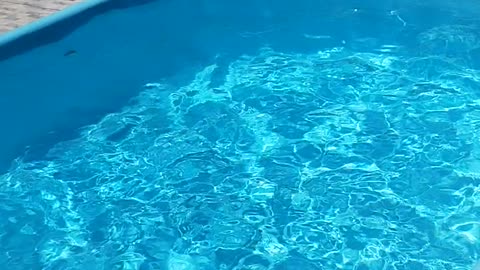 Pool piscina limpa com peroxido de hidrogenio