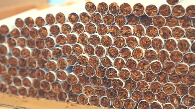 Que pasa si una cucaracha se fuma 20cigarrillos